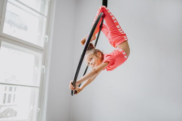 Aerial Hoops Aerial Hoops